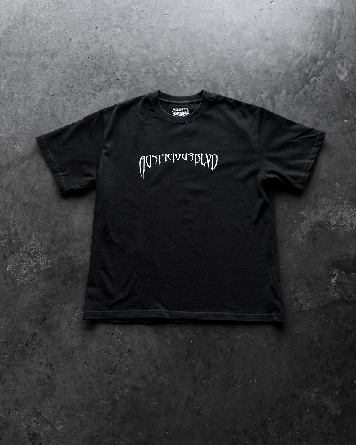 SWORDSMAN - Image 6