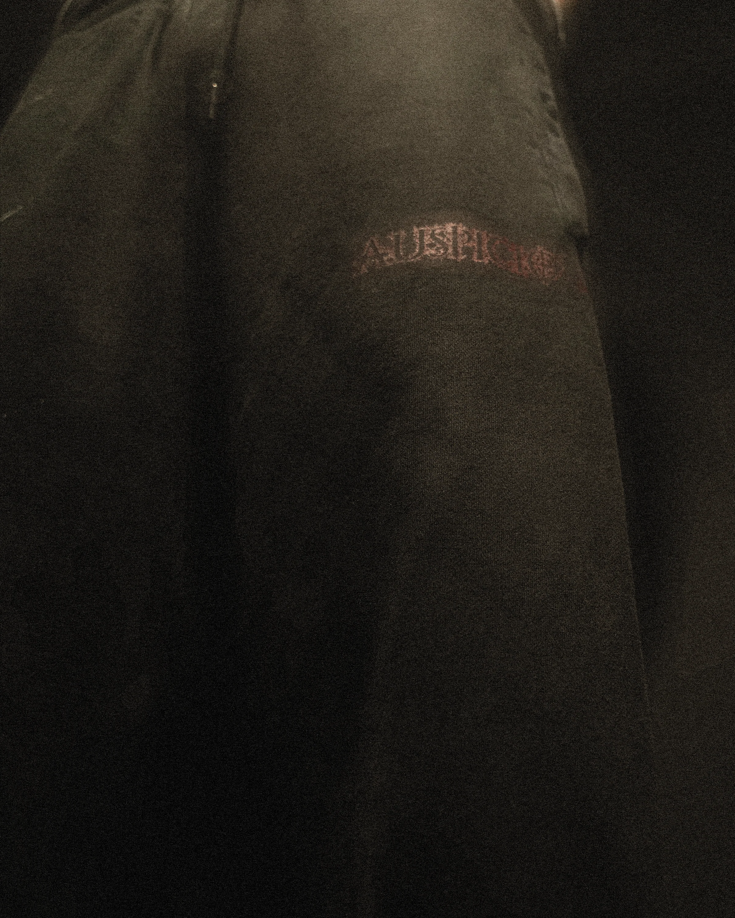 VERTEBRA SWEATS (RESTOCKED) - Image 3